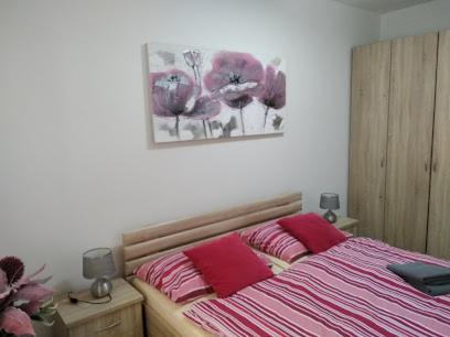 Chopok Juh Apartman Tatiana, Trangoska デマノブスカ・ドリーナ エクステリア 写真